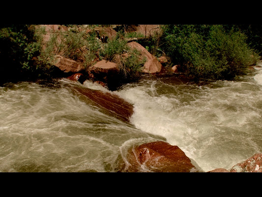 El Dorado Motion 13