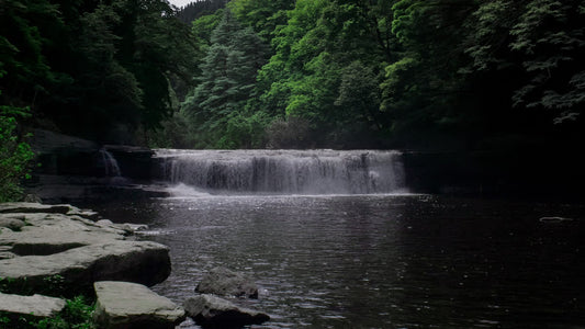 Blue Ridge Waterfalls 11