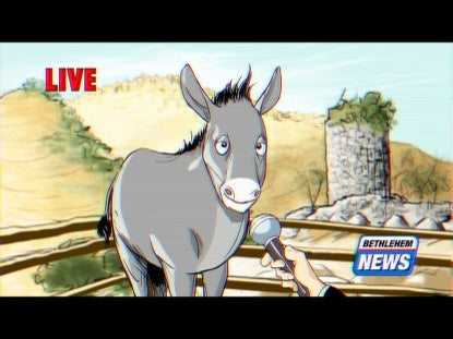 Bethlehem Donkey Interview