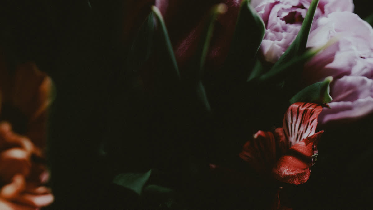Beauty And Strength Still 04