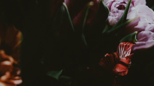 Beauty And Strength Still 04