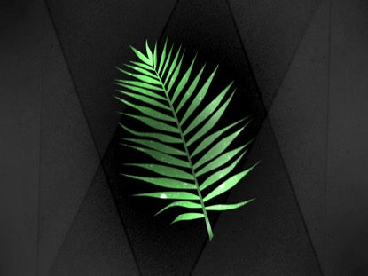 Palm Leaf 1 Motion