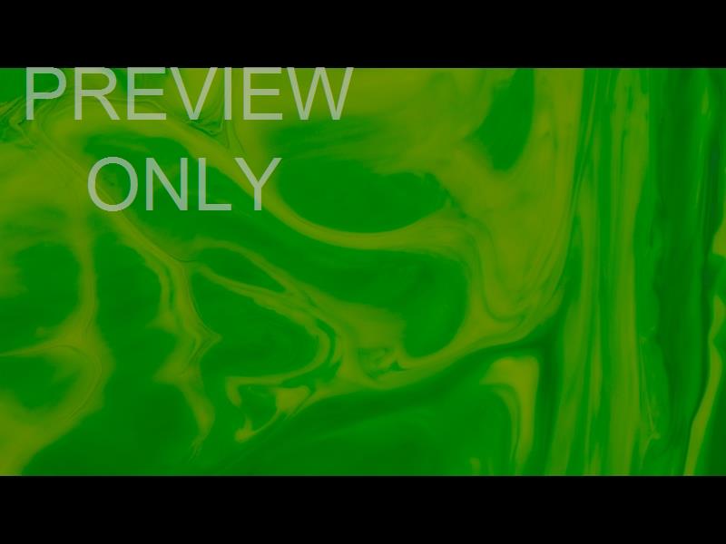 Palm Sunday Paint: 2 Still