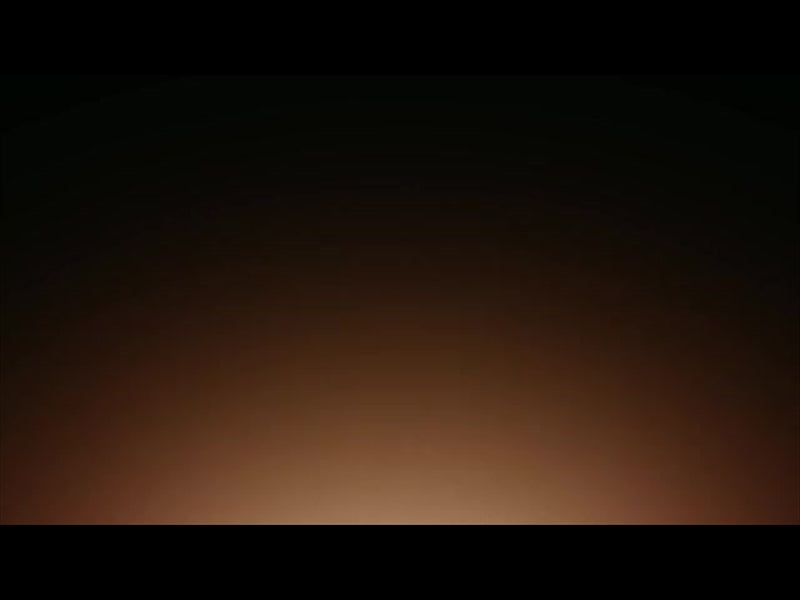 Gradient Lower Ellipse Brown