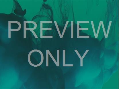 Palm Sunday Vol 4 Background 2