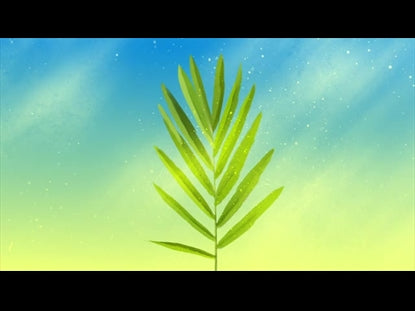 Beautiful Dust Palm Sunday 02