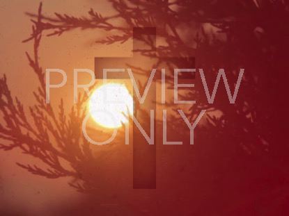 High Fashion Nature 8 With Cross