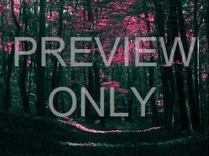 Fall Leaves Montage Neon 11