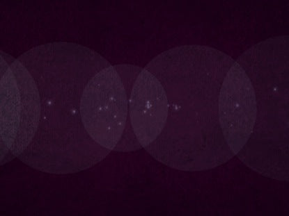 Simple Circles Purple