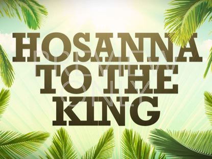 Hosanna To The King Still