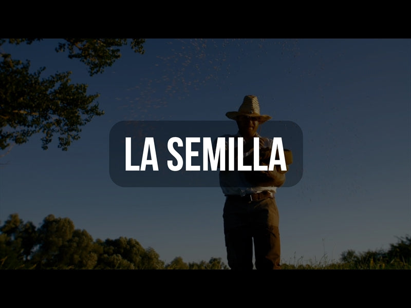 La Semilla