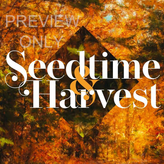 Autumn Vibes Social Graphic Title