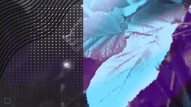 Wonder Background 07