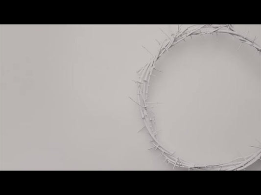 Crown Of Thorns White 1