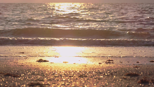 Spring Nature Motion 08