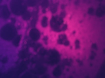 Purple Twister
