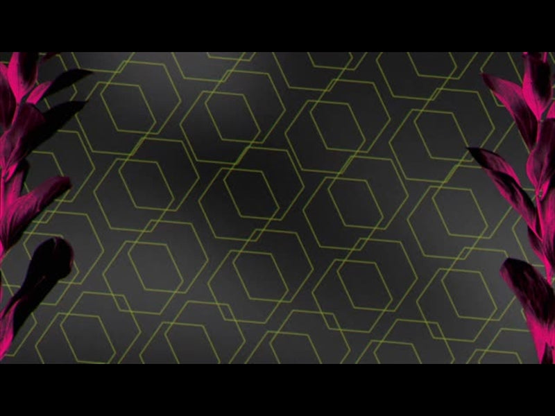 Neon Natro Loop 08