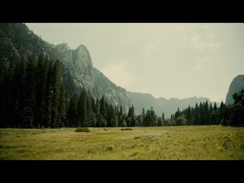 Yosemite Meadows Motion - 06