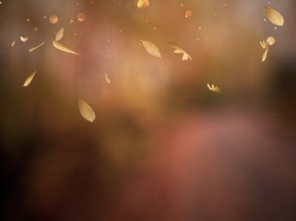 Golden Leaves 5