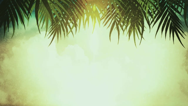 Palm Sunday Motion 03