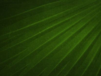 Radiant Palms Motion 5