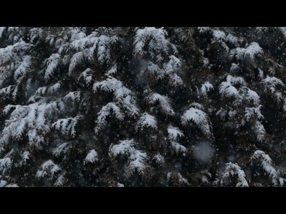 Snow Winter Background 27