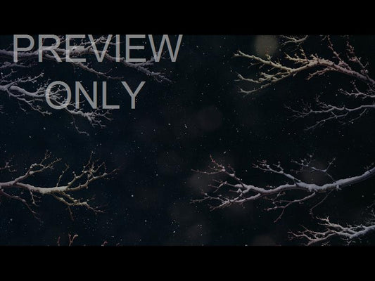 Christmas Wintertide 14 Still