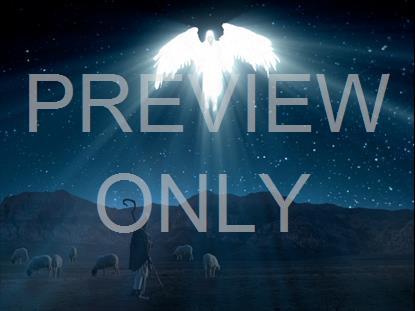 Starry Night Nativity 6 Still