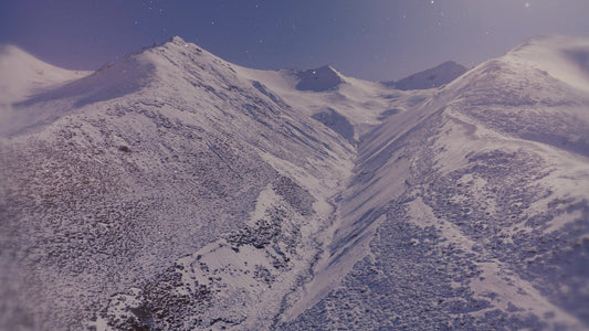 Deep Winter 12 Still