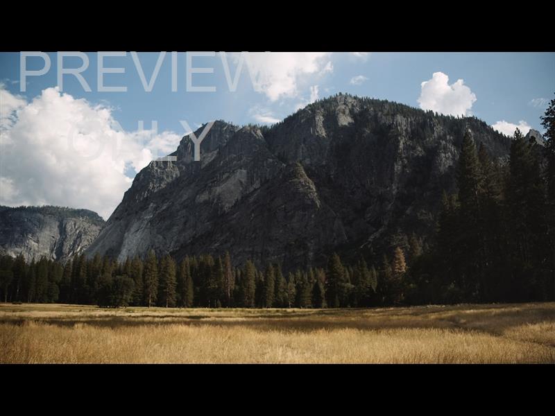 Yosemite Meadows Still - 12