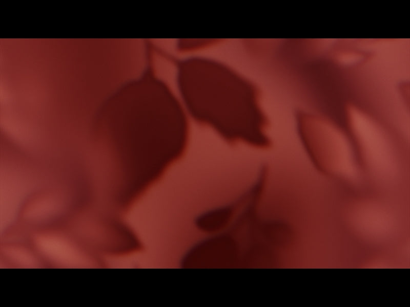 Velvet Fall Loop 01