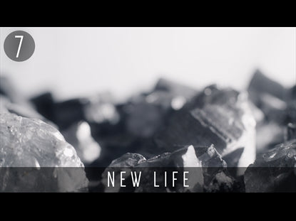 Resurrection New Life