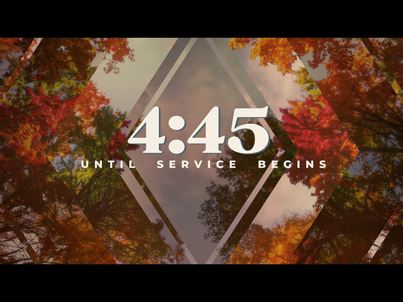 Fall Trees Countdown