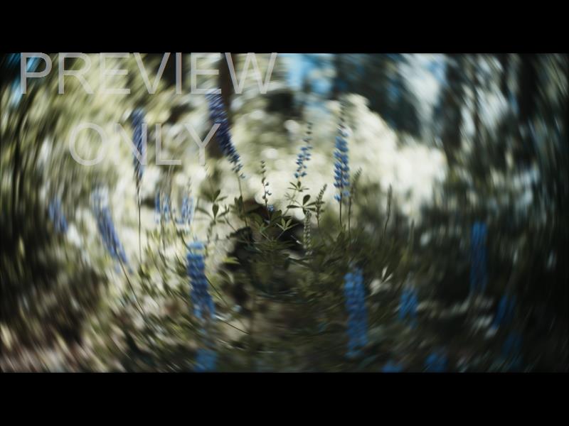Radial  4 Still