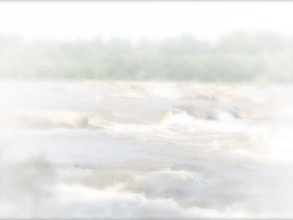 White Washed 2 Motion