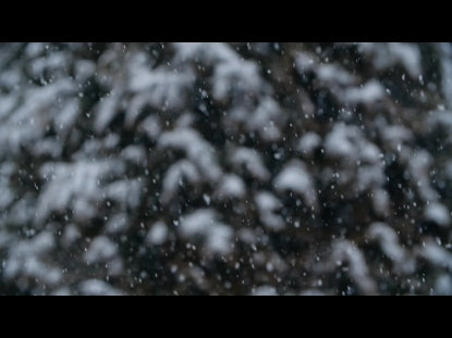 Snow Winter Background 26