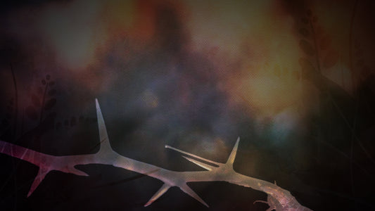 Grace Of Easter 16 Still