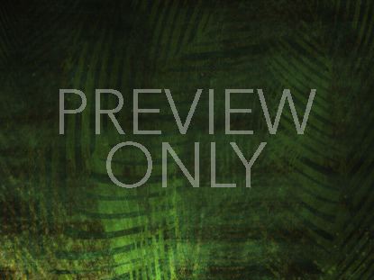 Palm Sunday Texture