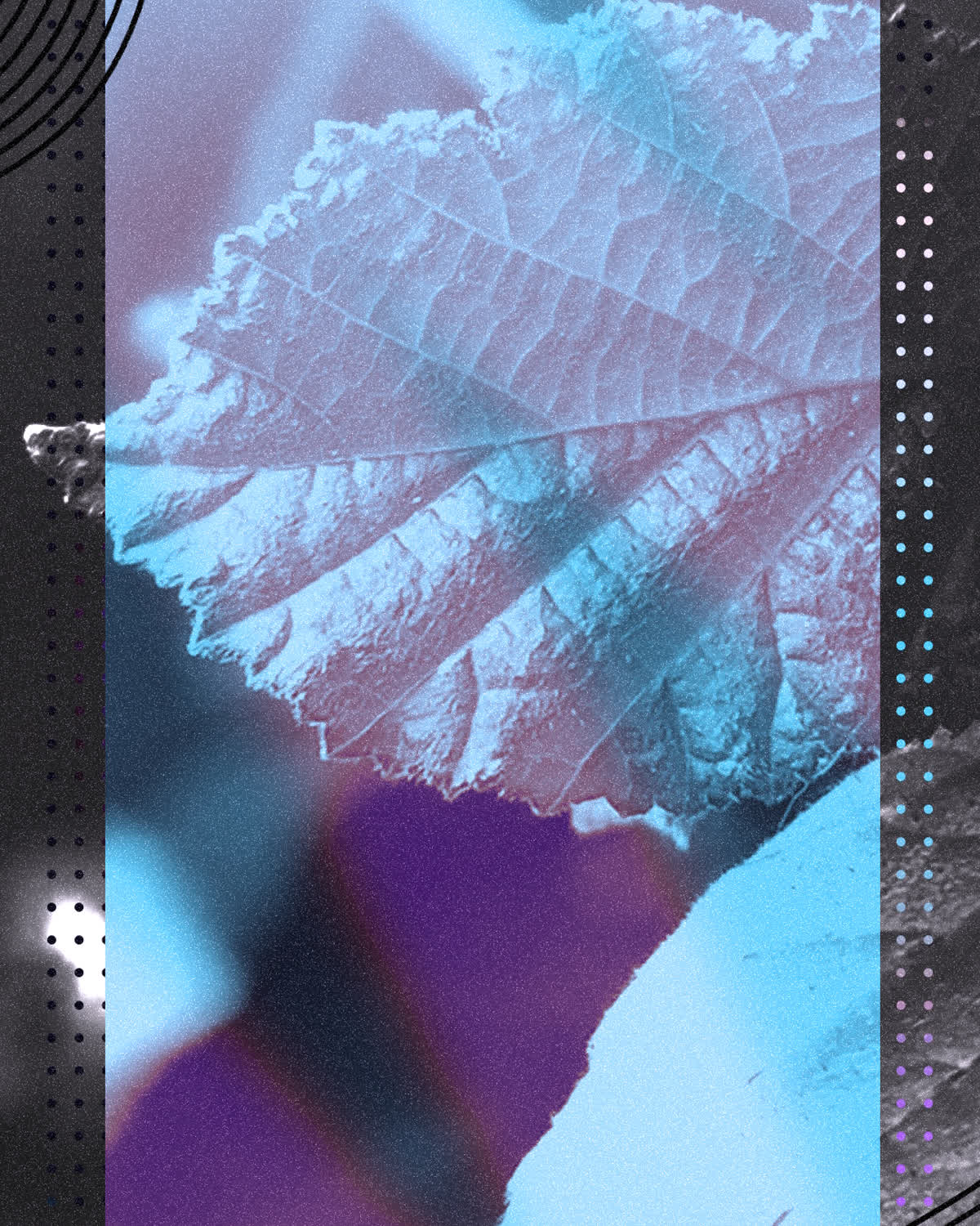Wonder Social Blank Square 01