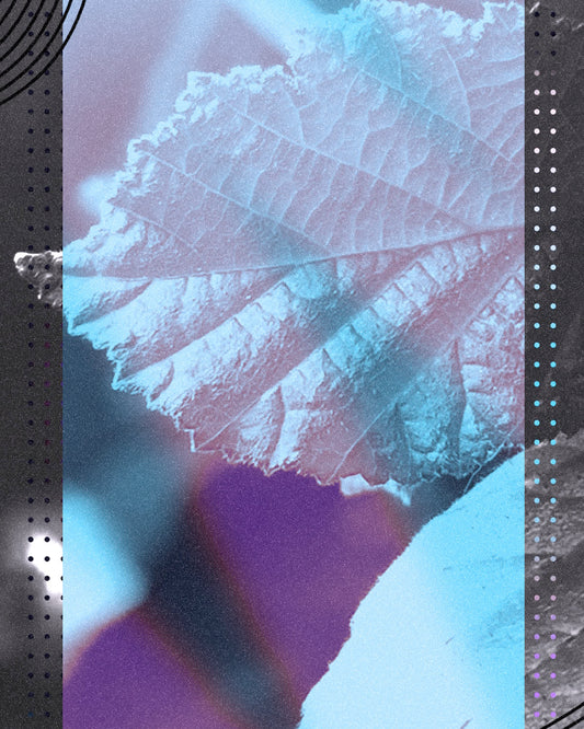 Wonder Social Blank Square 01