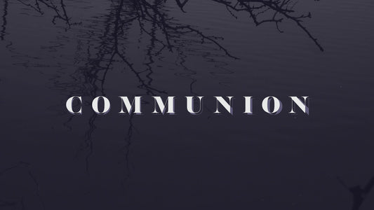 Bleak Beauty Communion Still