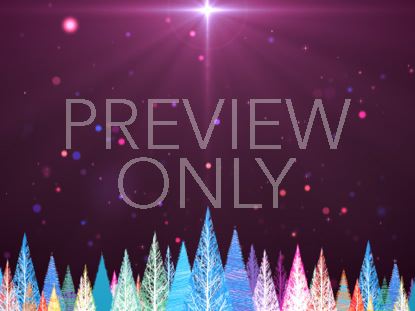 Colorful Christmas Trees