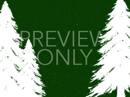 Winter Spruce 2 Still