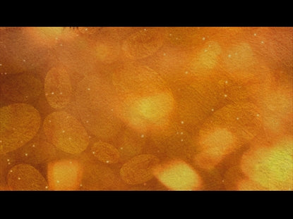 Autumn Spice 13 Motion