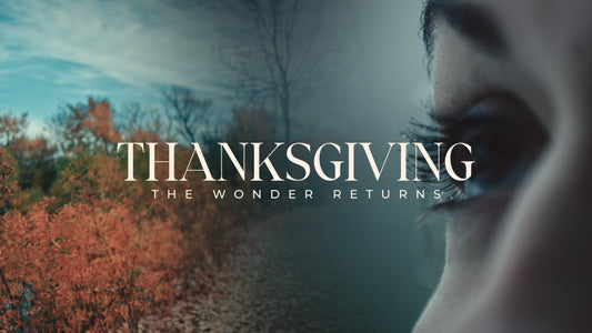 Thanksgiving The Wonder Returns
