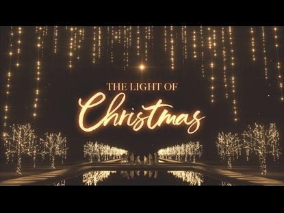 The Light Of Christmas