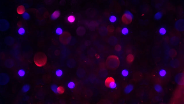 Glitter Sparks 11