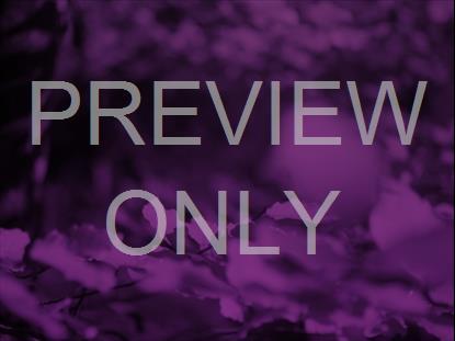 Purple Falling Leaves