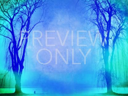 Autumn Forest 4 Still