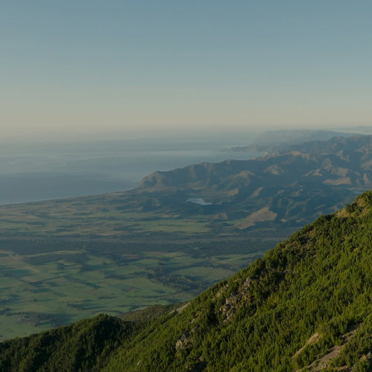 Kiakoura Sunday Blank